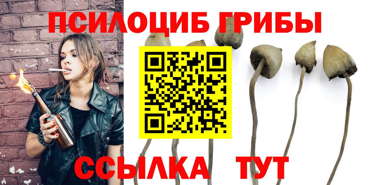 Псилоцибиновые грибы Cubensis  Вход с VPN  Кандалакша 