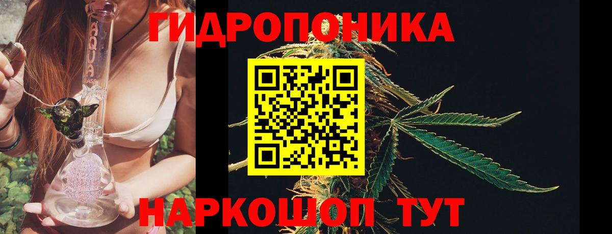 Шишки марихуана индика  Шишки марихуана тримм  Вход с VPN  Каннабис план  Кандалакша  Канабис AK-47 